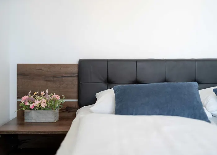 Blue In With Mountain View And Parking By Renters *